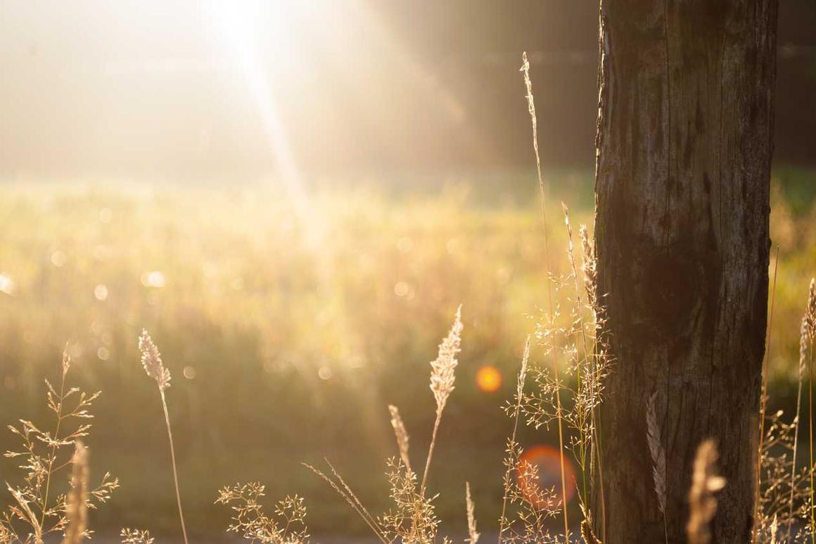 Sed amet quo ab temporibus deleniti
