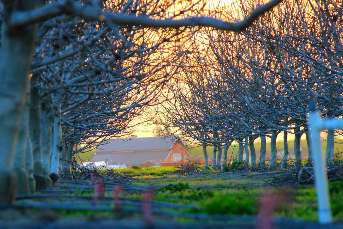 Hic magnam iusto amet ea accusamus